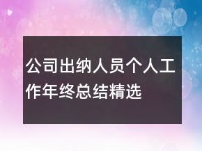 公司出納人員個(gè)人工作年終總結(jié)精選