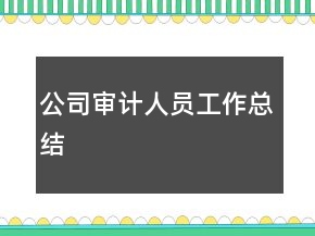 公司審計(jì)人員工作總結(jié)