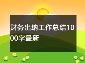 財(cái)務(wù)出納工作總結(jié)1000字最新