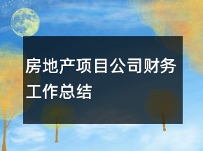 房地產(chǎn)項目公司財務(wù)工作總結(jié)