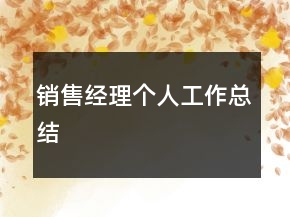 銷售經理個人工作總結