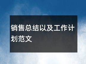 銷售總結(jié)以及工作計劃范文