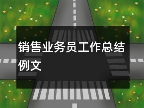 銷售業(yè)務(wù)員工作總結(jié)例文