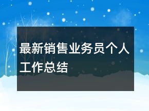 最新銷售業(yè)務(wù)員個人工作總結(jié)