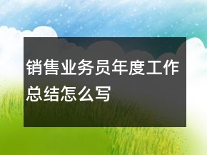 銷售業(yè)務(wù)員年度工作總結(jié)怎么寫