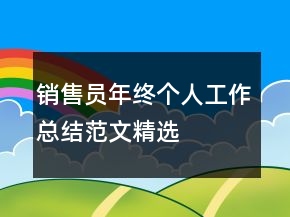 銷售員年終個(gè)人工作總結(jié)范文精選