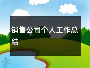 銷售公司個(gè)人工作總結(jié)