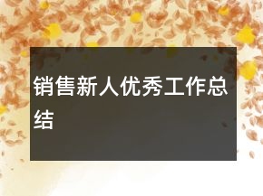 銷售新人優(yōu)秀工作總結(jié)