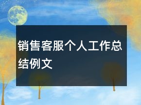 銷售客服個(gè)人工作總結(jié)例文