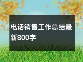 電話銷售工作總結最新800字