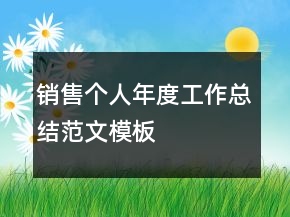銷售個(gè)人年度工作總結(jié)范文模板