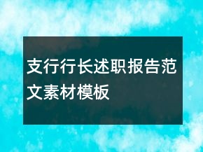 支行行長述職報告范文素材模板