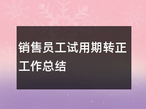 銷售員工試用期轉(zhuǎn)正工作總結(jié)