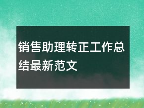 銷售助理轉(zhuǎn)正工作總結(jié)最新范文