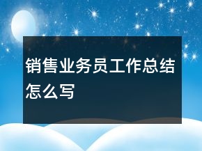 銷售業(yè)務(wù)員工作總結(jié)怎么寫