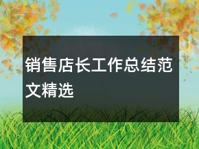 銷售店長工作總結范文精選
