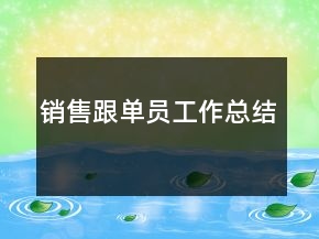 銷(xiāo)售跟單員工作總結(jié)