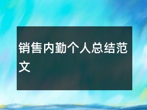 銷售內(nèi)勤個(gè)人總結(jié)范文