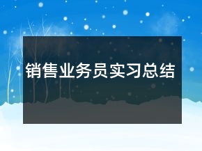 銷售業(yè)務員實習總結