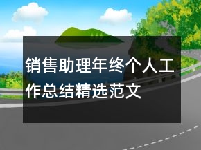 銷售助理年終個(gè)人工作總結(jié)精選范文