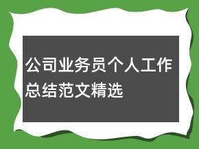 公司業(yè)務(wù)員個人工作總結(jié)范文精選