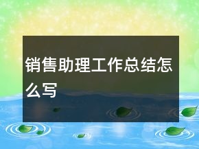 銷售助理工作總結(jié)怎么寫
