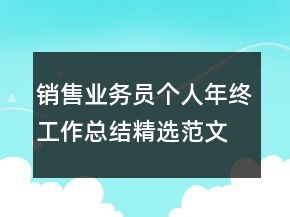 銷售業(yè)務(wù)員個(gè)人年終工作總結(jié)精選范文