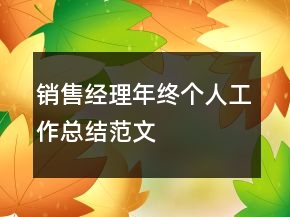銷售經(jīng)理年終個人工作總結(jié)范文