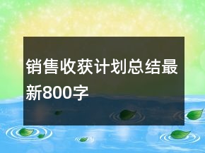 銷(xiāo)售收獲計(jì)劃總結(jié)最新800字