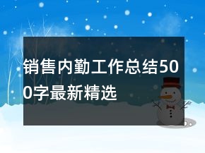 銷售內(nèi)勤工作總結(jié)500字最新精選