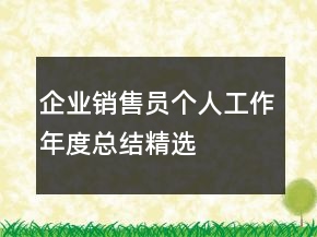 企業(yè)銷售員個人工作年度總結精選