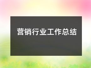 營銷行業(yè)工作總結