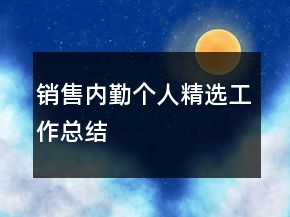 銷售內(nèi)勤個(gè)人精選工作總結(jié)
