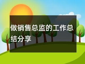 做銷售總監(jiān)的工作總結(jié)分享