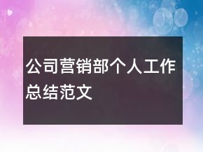 公司營銷部個人工作總結(jié)范文