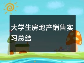 大學(xué)生房地產(chǎn)銷售實習總結(jié)