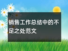銷售工作總結中的不足之處范文