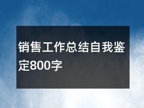 銷售工作總結(jié)自我鑒定800字