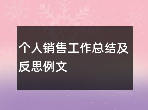 個人銷售工作總結及反思例文