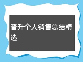 晉升個人銷售總結(jié)精選