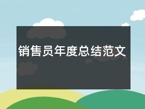 銷售員年度總結(jié)范文