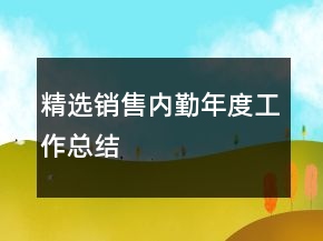 精選銷售內(nèi)勤年度工作總結(jié)