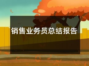 銷售業(yè)務(wù)員總結(jié)報告