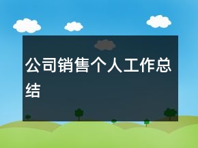 公司銷售個(gè)人工作總結(jié)
