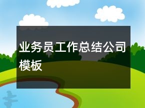 業(yè)務(wù)員工作總結(jié)公司模板