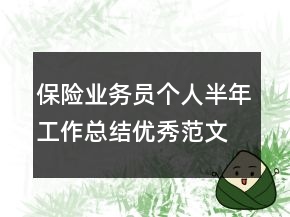 保險業(yè)務(wù)員個人半年工作總結(jié)優(yōu)秀范文
