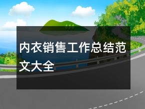 內(nèi)衣銷售工作總結(jié)范文大全