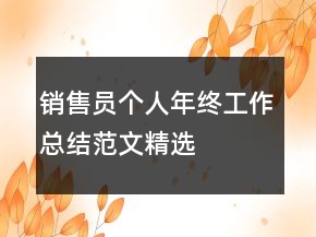 銷售員個人年終工作總結(jié)范文精選