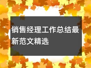 銷售經(jīng)理工作總結(jié)最新范文精選