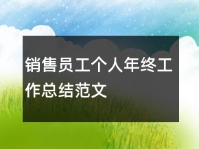 銷售員工個(gè)人年終工作總結(jié)范文